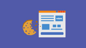 Read more about the article What is an HttpOnly Cookie?